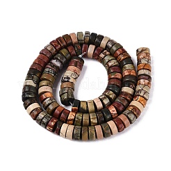 Natural Picasso Jasper/Polychrome Jasper Beads Strands&nbsp;G-N367-03A-08