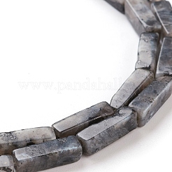 Natural Black Larvikite Beads Strands&nbsp;G-G837-17