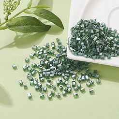 6/0 Glass Seed Beads&nbsp;SEED-YW0001-25F