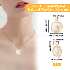 5Pcs Natural Shell Pendants&nbsp;KK-BBC0008-04