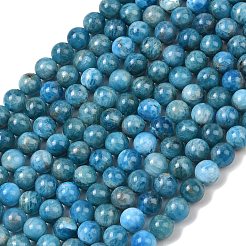 Natural Apatite Bead Strands&nbsp;G-P204-09-7mm-1