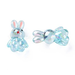 Transparent Acrylic Beads&nbsp;LS-MACR-S373-81-Q03