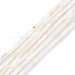 天然淡水シェルビーズ連売り  コラム  貝殻色  13x4mm  穴：0.8mm  約30個/連  15.16''（38.5センチメートル）&nbsp;X-SHEL-M018-10