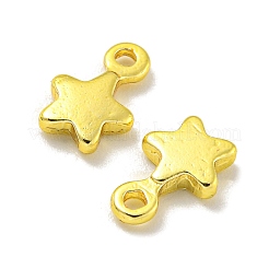 ラックメッキ真鍮チャーム  長持ちメッキ  鉛フリー＆カドミウムフリー  スター  9.5x6.5x2mm  穴：1.4mm&nbsp;KKB-L075-013G-01