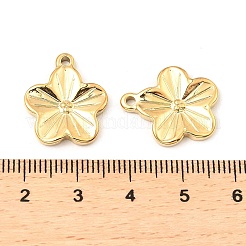 304 Stainless Steel Pendants&nbsp;STAS-A089-23G