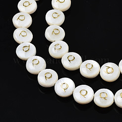 Natural Freshwater Shell Beads&nbsp;SHEL-S276-168Q