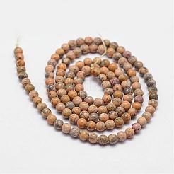 天然ヒョウ肌ジャスパービーズ連売り  ラウンド  2mm  穴：0.5mm  約190個/連  15.55インチ（39.5cm）&nbsp;G-N0187-02-2mm