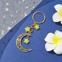 Tibetan Style Alloy Hollow Moon Pendant Keychain&nbsp;KEYC-JKC00690-01