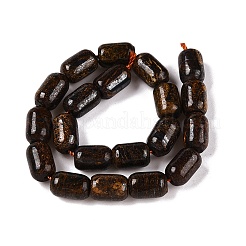Natural Bronzite Beads Strands&nbsp;G-G980-42B