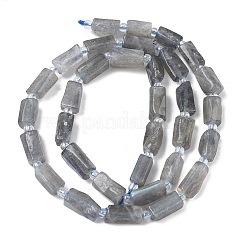 天然石ラブラドライトビーズ連売り  多面カット  コラム  シードビーズで  9~11x4.5~5.5x4.5~5.5mm  穴：0.8mm  約33個/連  15.35''（39センチメートル）&nbsp;G-C270-K19-01