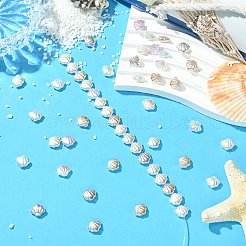 UVメッキABS樹脂ビーズ  イミテーションシェル＆パール  シェル形状  ミックスカラー  9x11x4.5mm  穴：1.2mm&nbsp;RESI-CJC0027-16