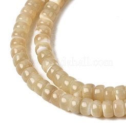 Natural Trochid Shell/Trochus Shell Beads Strands&nbsp;SSHEL-S266-019B-03