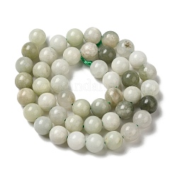 Natural Jade Beads Strands&nbsp;G-H298-A16-05