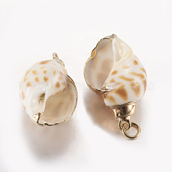 電気メッキ巻き貝ペンダント  真鍮パーツ  巻き貝  ゴールドカラー  25~33x14~19x11~15mm  穴：3mm&nbsp;SSHEL-J051-04