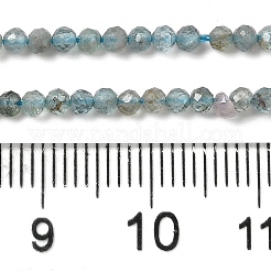 天然石アパタイトビーズ連売り  多面カット  ラウンド  2.5mm  穴：0.5mm  約177個/連  15.20インチ（38.6cm）&nbsp;G-C137-A01-01