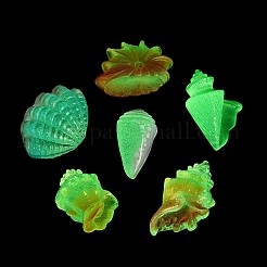 Luminous Resin Shell Shape & Conch Display Decorations&nbsp;RE-CBA17C4-22