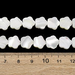 天然トロチッドシェル/トロカスシェルビーズ連売り  花  ホワイト  9.5~10x10x2~2.5mm  穴：0.5mm  約19個/連  7.20''（18.3センチメートル）&nbsp;SH-CBA2978-08