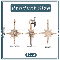 30Pcs Alloy Rhinestone Pendants&nbsp;FIND-SC0011-04