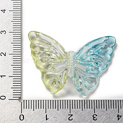 Two Tone Transparent Acrylic Beads&nbsp;X-OACR-E041-06D