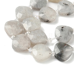 Natural Labradorite Beads Strands&nbsp;G-D316-A17