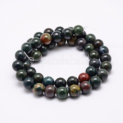 Natural Indian Bloodstone Beads Strands&nbsp;G-G735-33-6mm