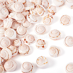 Natural Spiral Shell Red Lip Shell Beads&nbsp;BSHE-TA0002-02