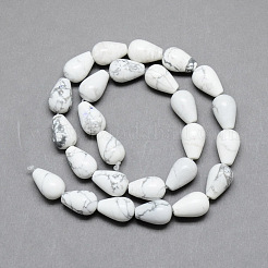 Natural Howlite Gemstone Bead Strands&nbsp;G-T004-19