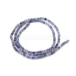 天然石コージエライト/アイオライト/ダイクロアイトビーズ連売り  多面カット  ラウンド  2mm  穴：0.5mm  約162個/連  15.35インチ（39cm）&nbsp;G-E411-39-2mm