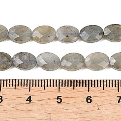 天然石ラブラドライトビーズ連売り  多面カット  フラットオーバル  8x6x3mm  穴：0.7~0.8mm  約46~47個/連  14.96~15.16''（38~38.5センチメートル）&nbsp;G-H349-A01-03