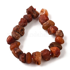 Natural Carnelian Beads Strands&nbsp;G-I283-F09