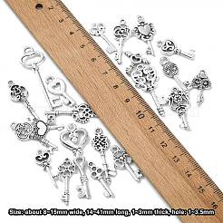 100 個のチベットスタイル合金ペンダントセット  ミックスキーチャーム  アンティークシルバー  14~41x8~15x1~3mm  穴：1~3.5mm&nbsp;TIBEP-CJ0003-19