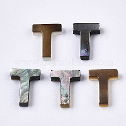 天然な黒リップシェルビーズ  トップドリルビーズ  文字.t  T：10x7.5x2.5mm  穴：0.6mm&nbsp;LS-SSHEL-S265-001T