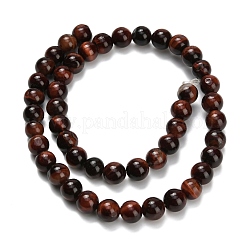 Natural Tiger Eye Beads Strands&nbsp;G-F591-18-8mm-07