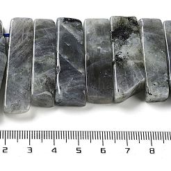 Natural Labradorite Beads Strands&nbsp;G-L551B-06