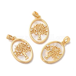 Brass Shell Pendants&nbsp;KK-M243-34G