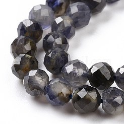 Natural Iolite Beads Strands&nbsp;G-P488-02B