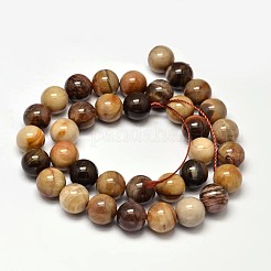 Natural Petrified Wood Round Bead Strands&nbsp;X-G-F266-08-10mm