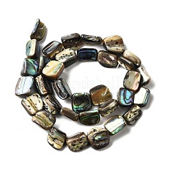 天然アワビシェル/パウアシェルビーズ連売り  ナゲット  10~15x7~12x4~8mm  穴：1mm  約34個/連  15.43''（39.2cm）〜15.67''（39.8cm）&nbsp;BSHE-D300-01A