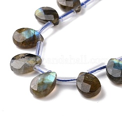Natural Labradorite Beads Strands&nbsp;G-I246-09-A