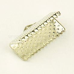 アイアン製カシメリボン止めエンドパーツ  プラチナ  8x16mm  穴：2x4mm&nbsp;IFIN-I018-P