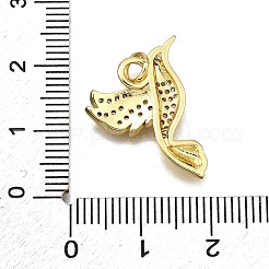 Rack Plating Brass Micro Pave Cubic Zirconia Pendants&nbsp;KK-D343-11G