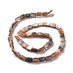 Natural Red Paua Shell Beads Strands&nbsp;SSHEL-G023-11A