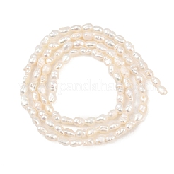 Natural Cultured Freshwater Pearl Beads Strands&nbsp;PEAR-F020-14