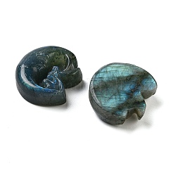 Natural Labradorite Carved Cabochons&nbsp;G-C152-09