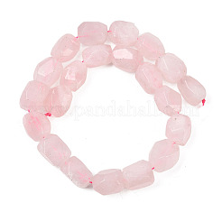 Natural Rose Quartz Beads Strands&nbsp;G-Z147-E08-01