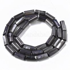 天然淡水シェルビーズ  染め  コラム  スレートグレイ  10x4.5mm  穴：0.9mm  約36個/連  14.17インチ（36 cm）&nbsp;X-SHEL-R047-01A