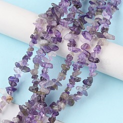 Natural Amethyst Beads Strands&nbsp;G-G0003-B14