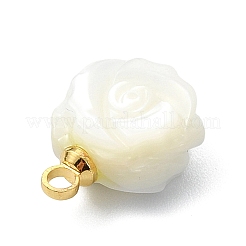 Natural Trochid Shell/Trochus Shell Double-Sided Carved Charms&nbsp;PALLOY-JF05484