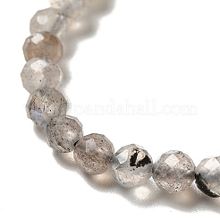 Natural Labradorite Beads Strands&nbsp;X-G-I341-11