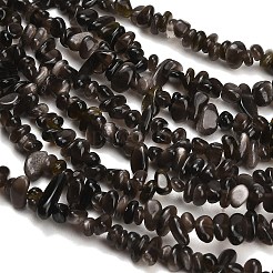 天然銀光沢の黒曜石ビーズ 連売り  チップ  3~4x4~13x1.5~4mm  穴：0.5~0.6mm  27.44~30.39''（69.7~77.2センチメートル）&nbsp;GG-CBAE051-A03-02